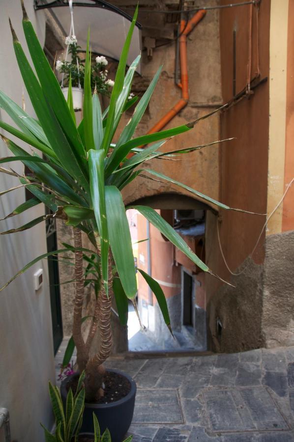 La Croce Dei Templari - Very Central With Parking - Hotel Riomaggiore Exterior foto